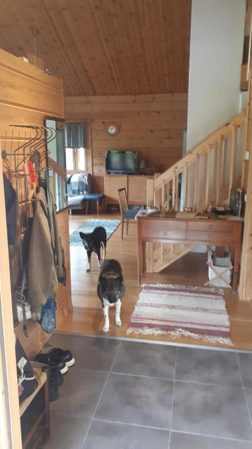 Savutaival Villa Pello Eksteriør billede