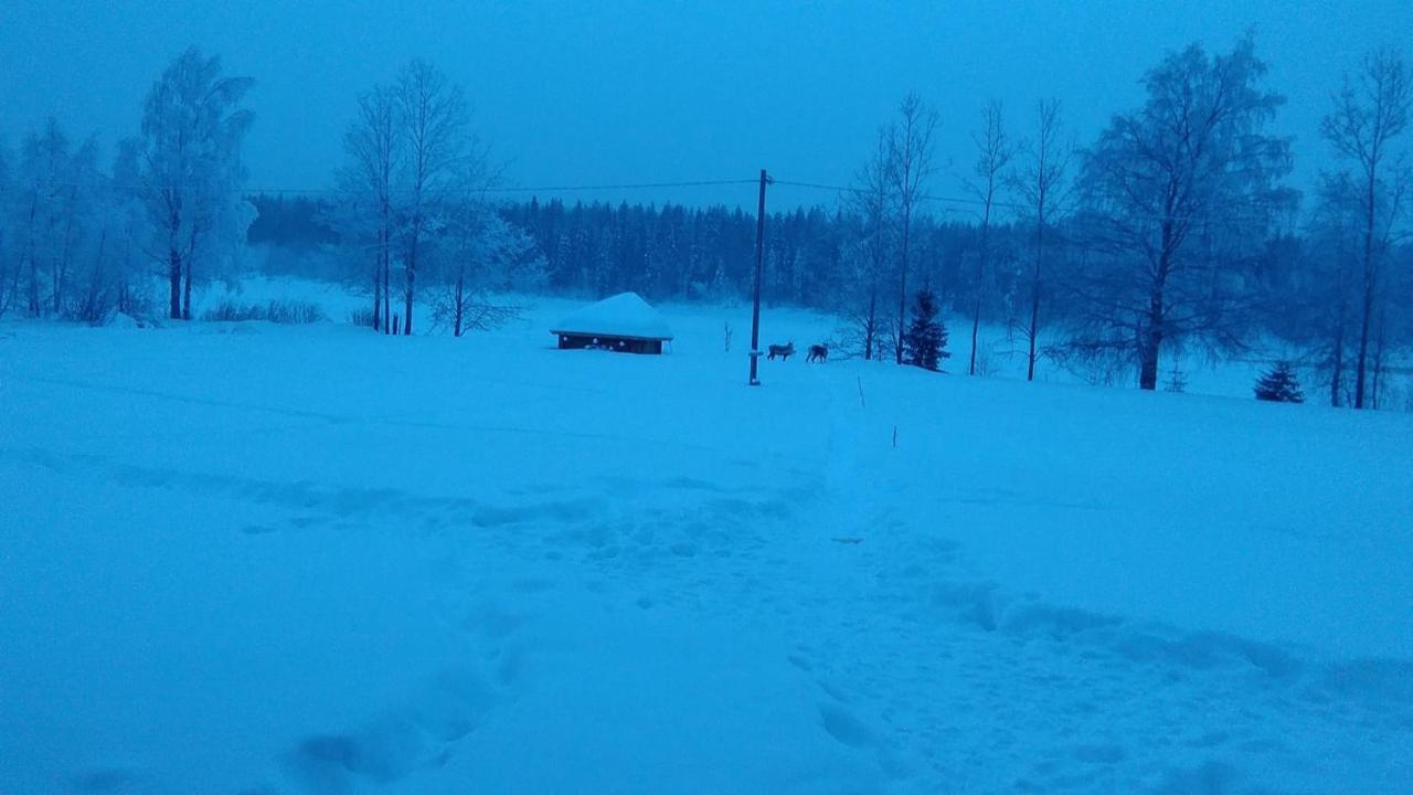 Savutaival Villa Pello Eksteriør billede